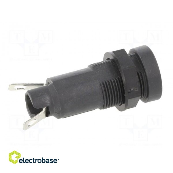 Fuse holder | cylindrical fuses | 10A | 250V | on panel | black image 7