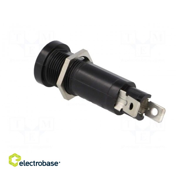 Fuse holder | cylindrical fuses | 5x20mm,6.3x32mm | 10A | on panel image 4