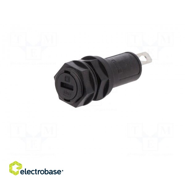 Fuse holder | cylindrical fuses | 5x20mm | 10A | Mounting: on panel image 3