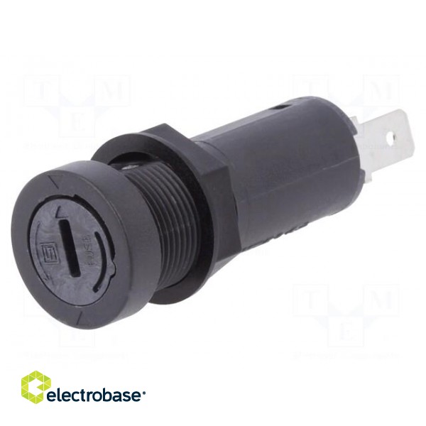 Fuse holder | cylindrical fuses | 5x20mm | 10A | on panel | black | FBS1 image 1