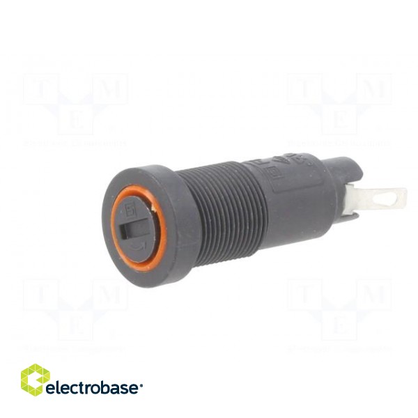 Fuse holder | cylindrical fuses | 5x20mm | 10A | on panel | black | FEF image 2