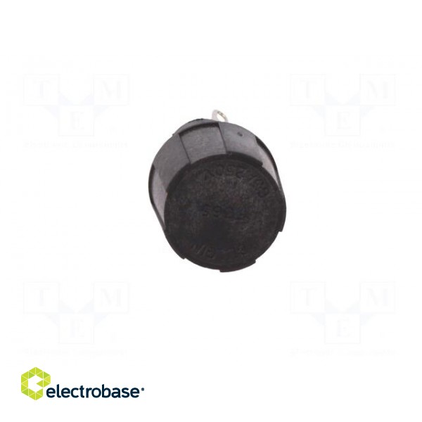 Fuse holder | cylindrical fuses | 5x20mm | 250V | Mounting: on panel image 10