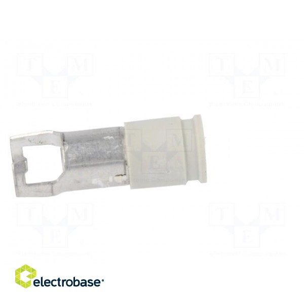 Adapter | cylindrical fuses | THT | 5x20mm,6.3x32mm | -40÷85°C | 10A image 7