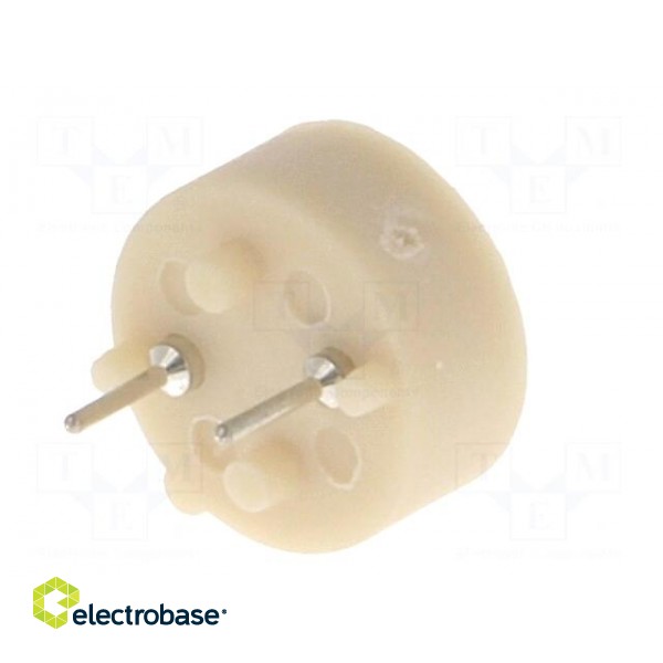 Fuse holder | miniature fuses | Mounting: THT | TE5,TR5 | 6.3A | 250V image 7