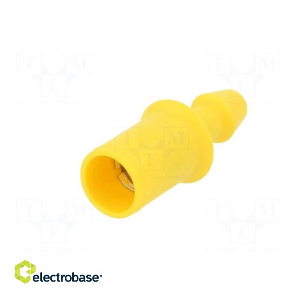 Fuse holder | cylindrical fuses | 6.3x30mm,6.3x32mm | 250VAC | 32VDC paveikslėlis 2