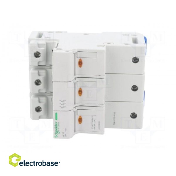 Fuse base | for DIN rail mounting | Poles: 3 image 9