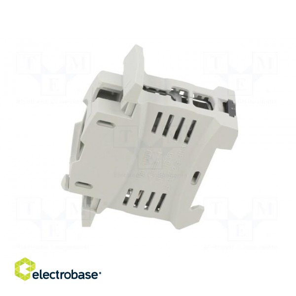 Fuse holder | protection switchgear | D01 | for DIN rail mounting image 3