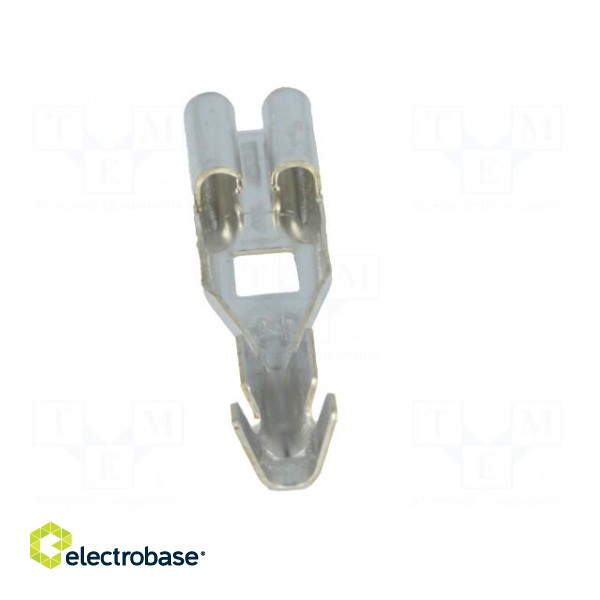 Fuse acces: contact | fuse: 19mm | 20A | Works with: 868-062-000 image 5