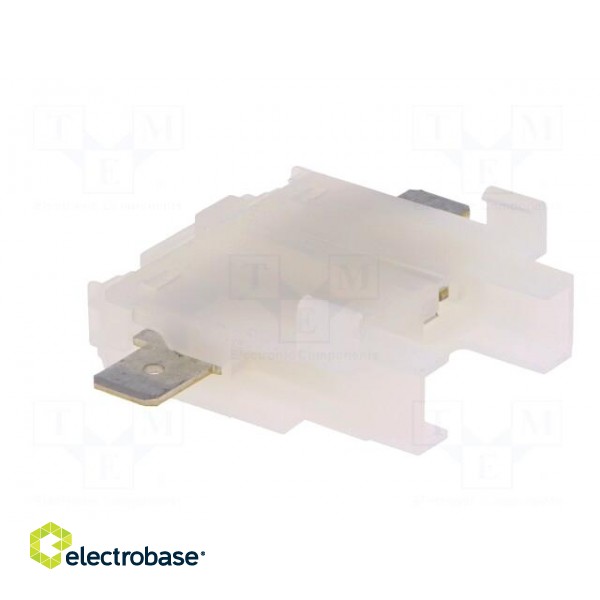 Fuse acces: fuse holder | fuse: 19mm | 21A | Leads: 6,3mm connectors image 8