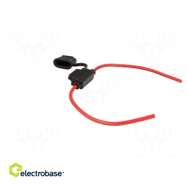 Fuse acces: fuse holder | fuse: 19mm | 30A | on cable | Leads: 2 leads image 5