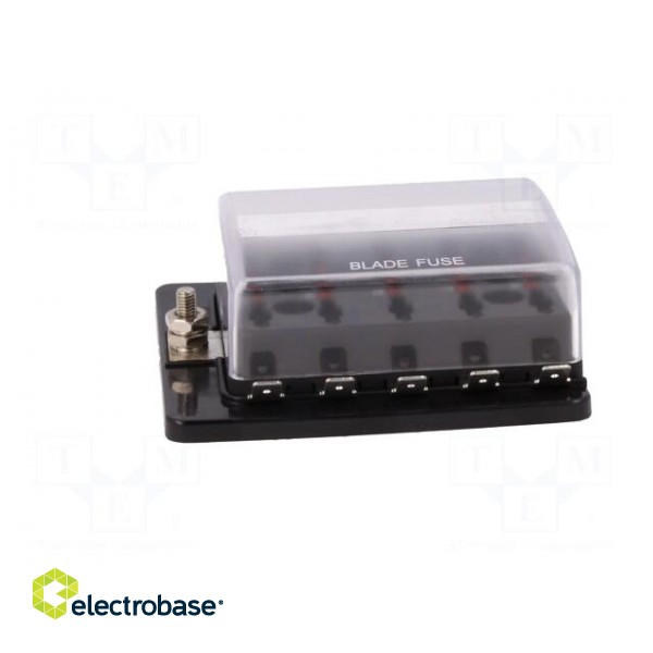 Fuse acces: fuse boxes | fuse: 19mm | 30A | screw | Body: black | UL94V-0 image 4