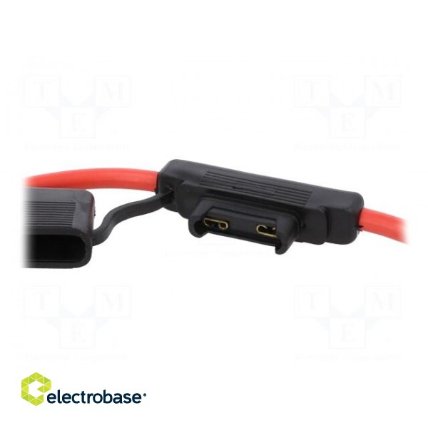 Fuse holder | 29.7mm | 100A | Leads: cables | 32V image 2