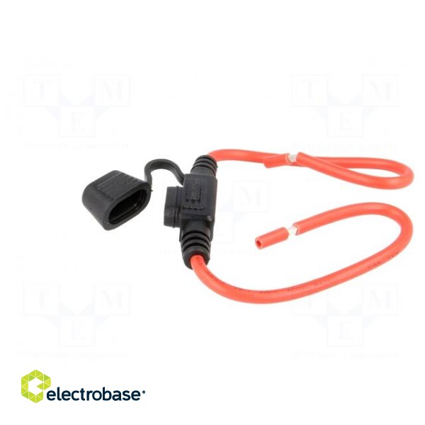 Fuse holder | 11.9mm | 30A | on cable | Leads: cables | Contacts: brass image 4