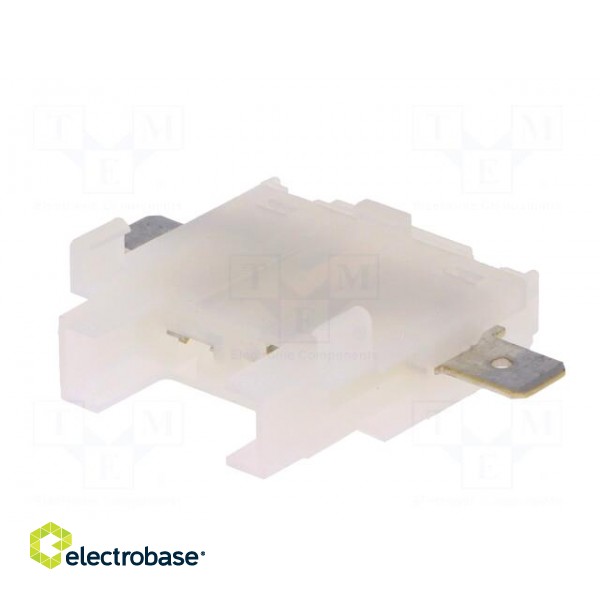 Fuse acces: fuse holder | fuse: 19mm | 21A | Leads: 6,3mm connectors image 2