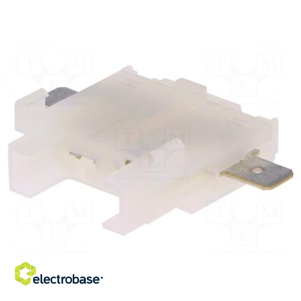 Fuse acces: fuse holder | fuse: 19mm | 21A | Leads: 6,3mm connectors image 1