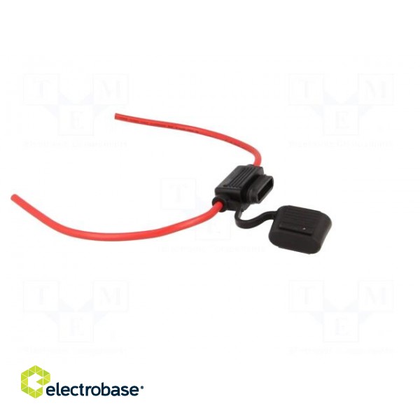 Fuse holder | 19mm | 30A | on cable | Leads: lead x2 | ways: 1 | -40÷125°C image 9
