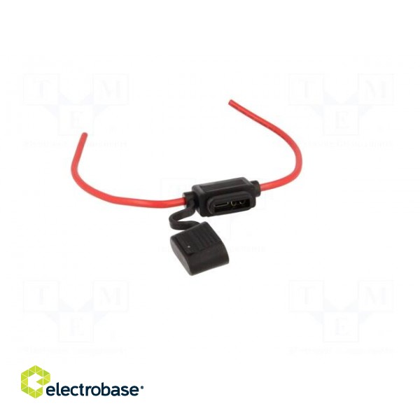 Fuse holder | 19mm | 30A | on cable | Leads: lead x2 | ways: 1 | -40÷125°C image 10