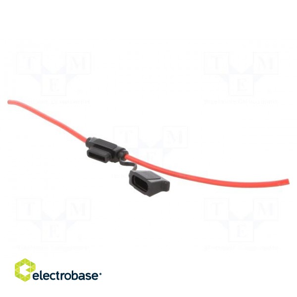 Fuse holder | 30A | on cable | Leads: cables | Contacts: brass | Mat: PVC фото 2
