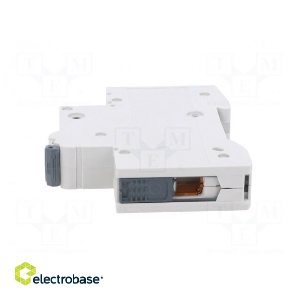 Circuit breaker | 230/400VAC | Inom: 10A | Poles: 1 | Charact: B | 10kA image 3