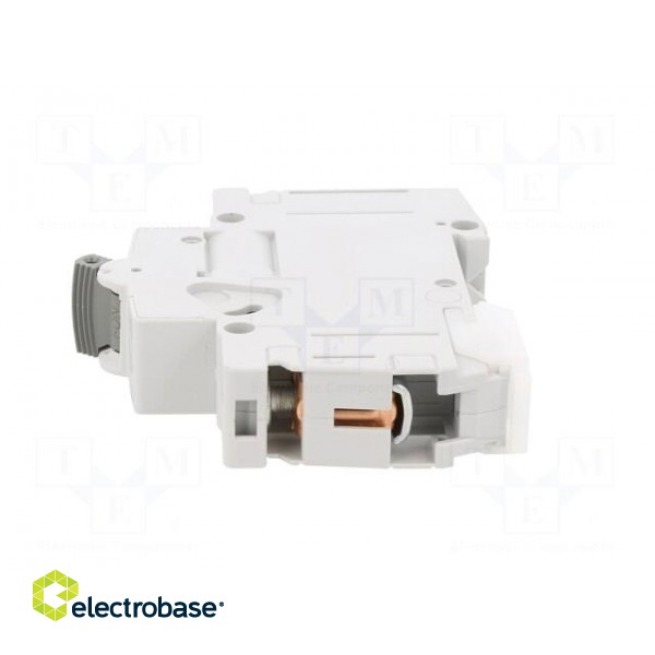 Circuit breaker | 230/400VAC | Inom: 10A | Poles: 1 | Charact: C | 10kA image 3