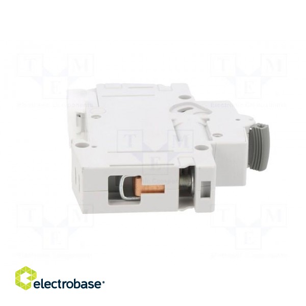 Circuit breaker | 230/400VAC | Inom: 10A | Poles: 1 | Charact: C | 10kA image 7