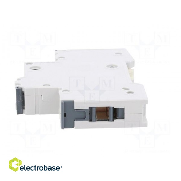 Circuit breaker | 230/400VAC | Inom: 16A | Poles: 1 | Charact: D | 10kA image 3