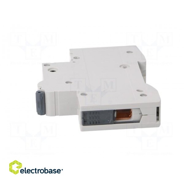 Circuit breaker | 230/400VAC | Inom: 16A | Poles: 1 | Charact: C | 10kA image 3