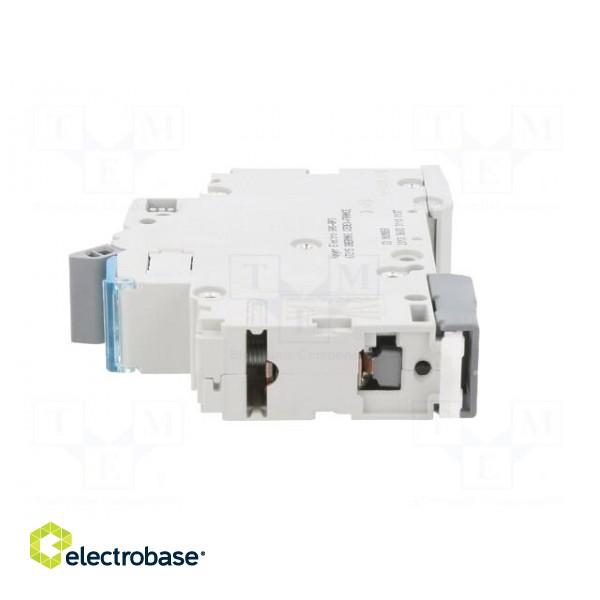Circuit breaker | 230/400VAC | Inom: 16A | Poles: 1 | Charact: C | 10kA image 3