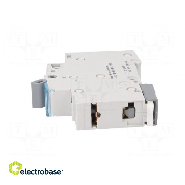 Circuit breaker | 230/400VAC | Inom: 16A | Poles: 1 | Charact: C | 6kA image 3