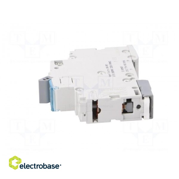 Circuit breaker | 230/400VAC | Inom: 20A | Poles: 1 | Charact: B | 10kA image 3