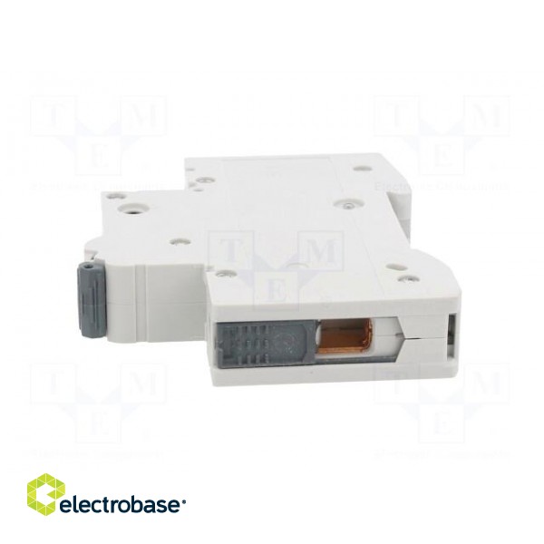 Circuit breaker | 230/400VAC | Inom: 20A | Poles: 1 | Charact: C | 10kA image 3