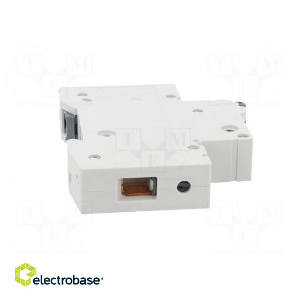Circuit breaker | 230/400VAC | Inom: 20A | Poles: 1 | Charact: C | 10kA image 7