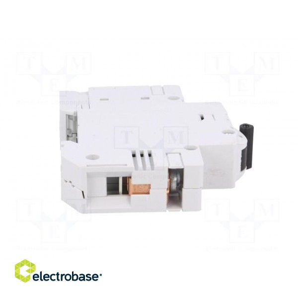 Circuit breaker | 230VAC | Inom: 25A | Poles: 1 | DIN | Charact: B | 10kA image 7