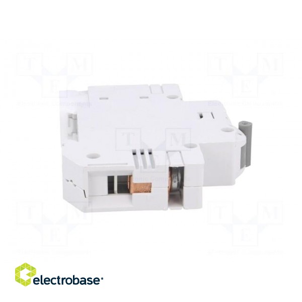 Circuit breaker | 230VAC | Inom: 25A | Poles: 1 | DIN | Charact: B | 6kA image 7