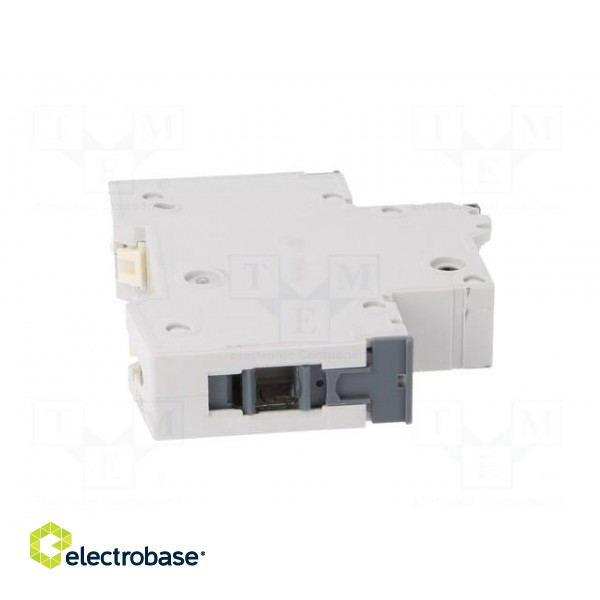 Circuit breaker | 230/400VAC | Inom: 25A | Poles: 1 | Charact: C | 10kA image 7