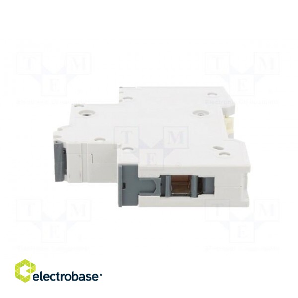 Circuit breaker | 230/400VAC | Inom: 25A | Poles: 1 | Charact: C | 6kA image 3