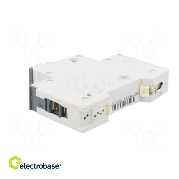 Circuit breaker | 230/400VAC | Inom: 25A | Poles: 1 | Charact: C | 6kA image 4