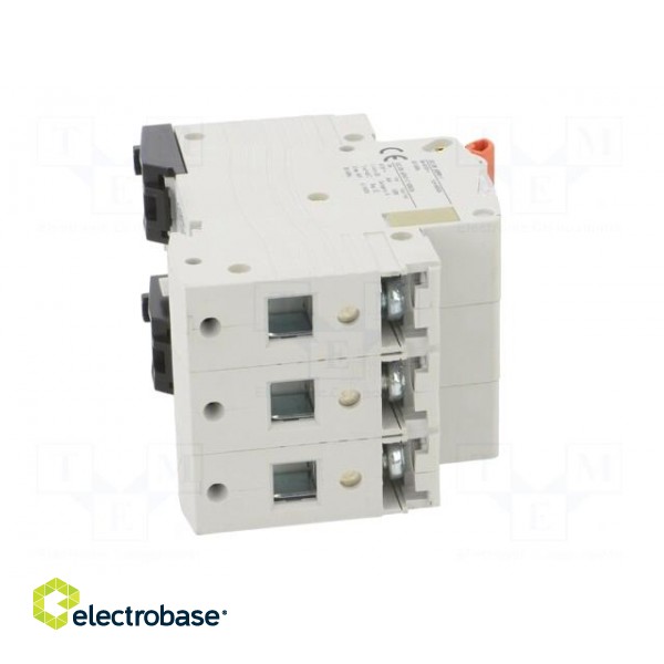 Circuit breaker | 230/400VAC | Inom: 25A | Poles: 3 | Charact: B | 6kA image 7