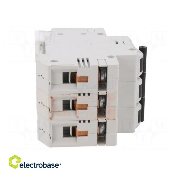 Circuit breaker | 230/400VAC | Inom: 25A | Poles: 3 | Charact: B | 10kA image 7