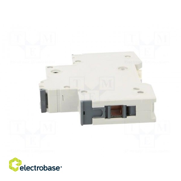 Circuit breaker | 230/400VAC | Inom: 2A | Poles: 1 | Charact: D | 10kA image 3