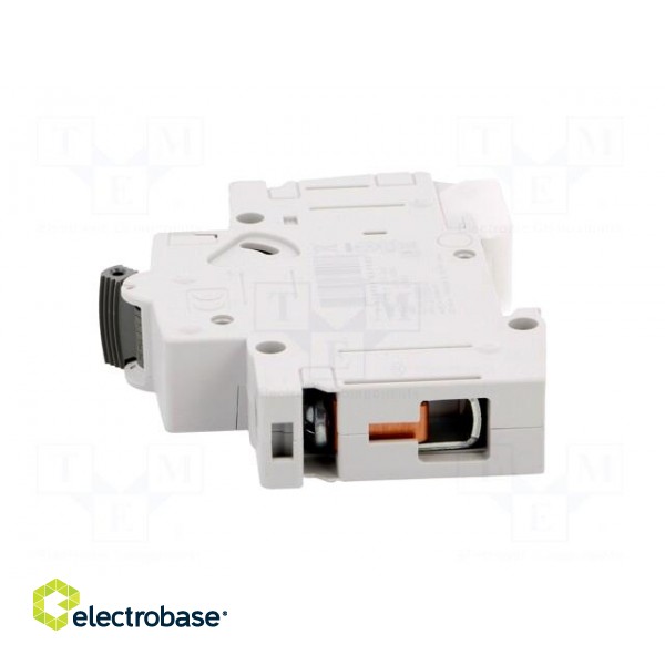 Circuit breaker | 230/400VAC | Inom: 32A | Poles: 1 | Charact: B | 10kA image 3