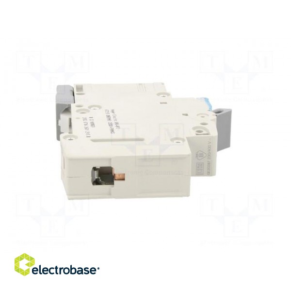 Circuit breaker | 230/400VAC | Inom: 32A | Poles: 1 | Charact: B | 6kA image 7