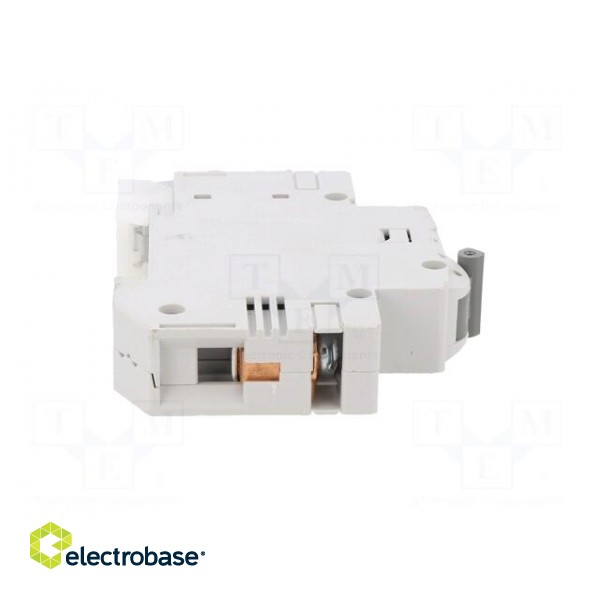 Circuit breaker | 230/400VAC | Inom: 40A | Poles: 1 | Charact: B | 6kA image 7