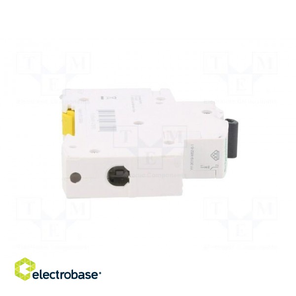 Circuit breaker | 230/400VAC | Inom: 40A | Poles: 1 | Charact: B | 6kA image 7