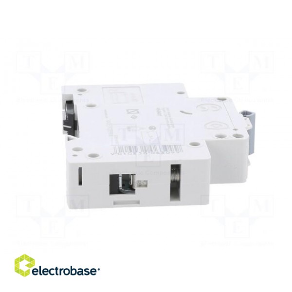 Circuit breaker | 230/400VAC | Inom: 40A | Poles: 1 | Charact: B | 6kA image 7