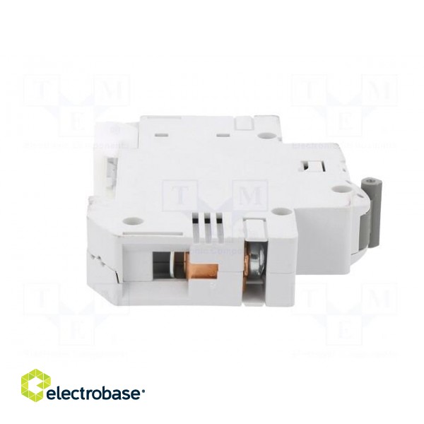 Circuit breaker | 230/400VAC | Inom: 50A | Poles: 1 | Charact: C | 6kA image 7