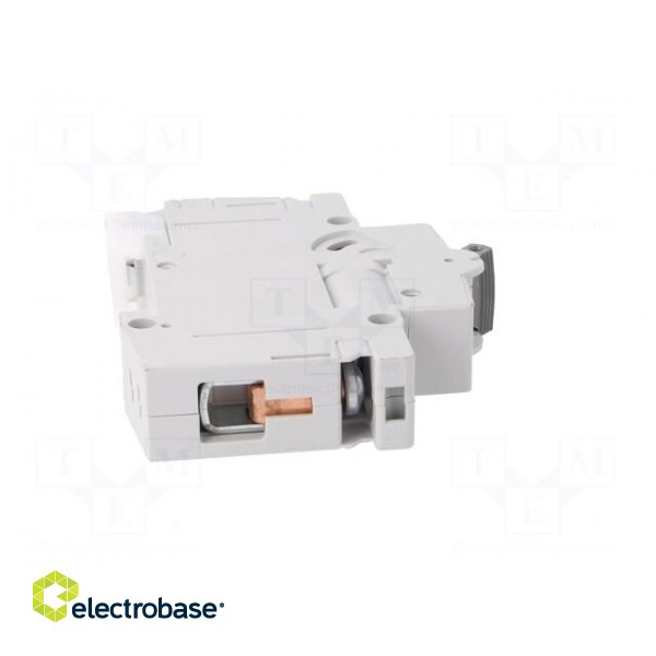 Circuit breaker | 230/400VAC | Inom: 50A | Poles: 1 | Charact: C | 10kA image 7