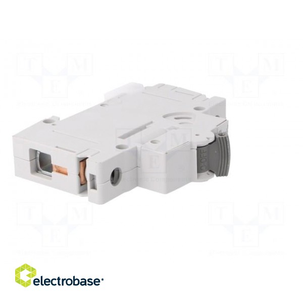 Circuit breaker | 230/400VAC | Inom: 50A | Poles: 1 | Charact: C | 10kA image 8