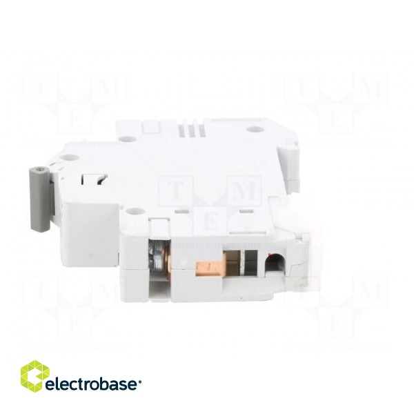 Circuit breaker | 230/400VAC | Inom: 63A | Poles: 1 | Charact: C | 6kA image 3