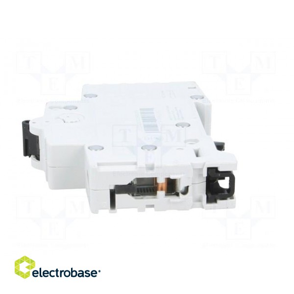 Circuit breaker | 230VAC | Inom: 10A | Poles: 1 | DIN | Charact: B | 6kA image 3